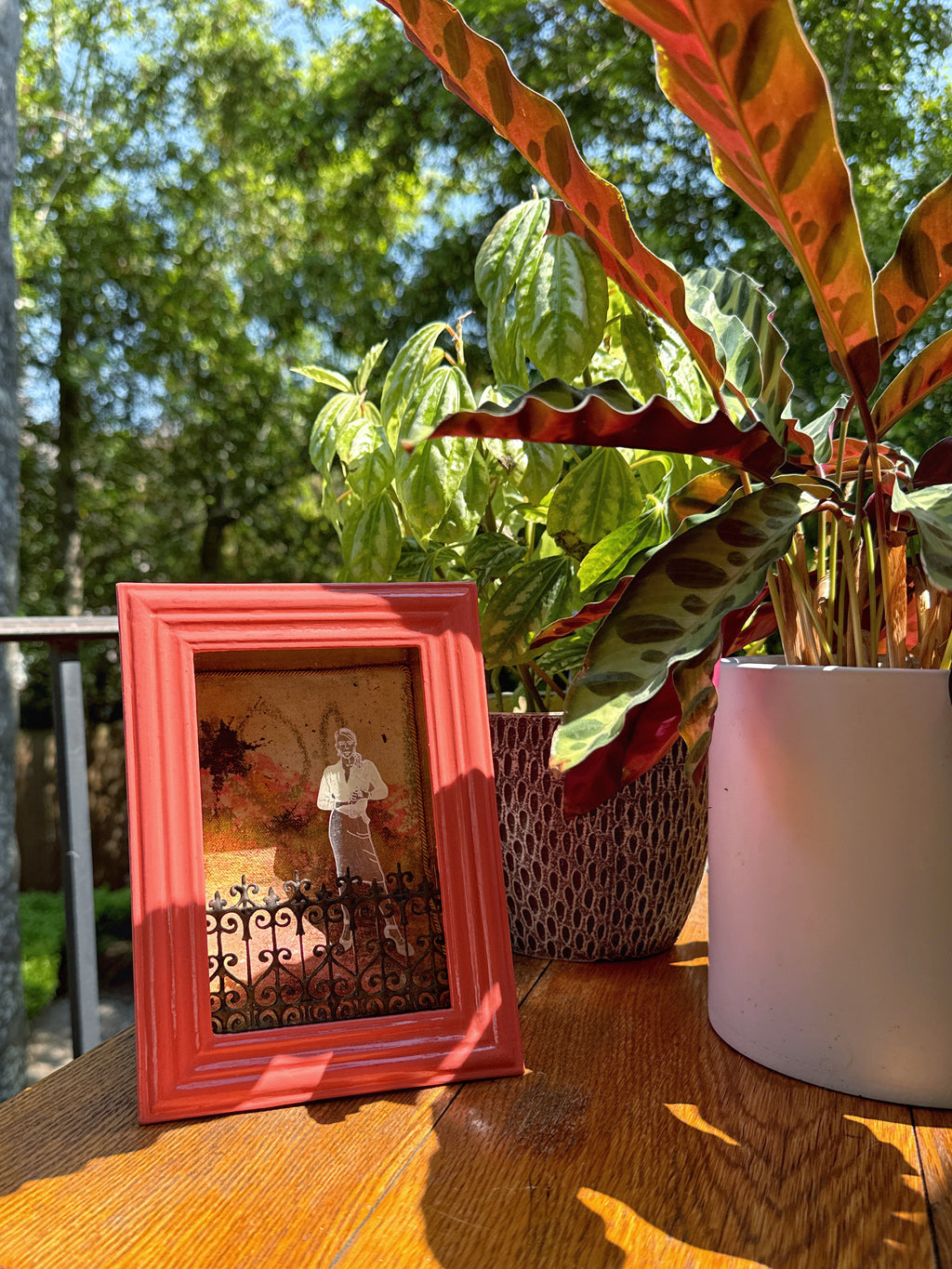 The Bell Jar 4
