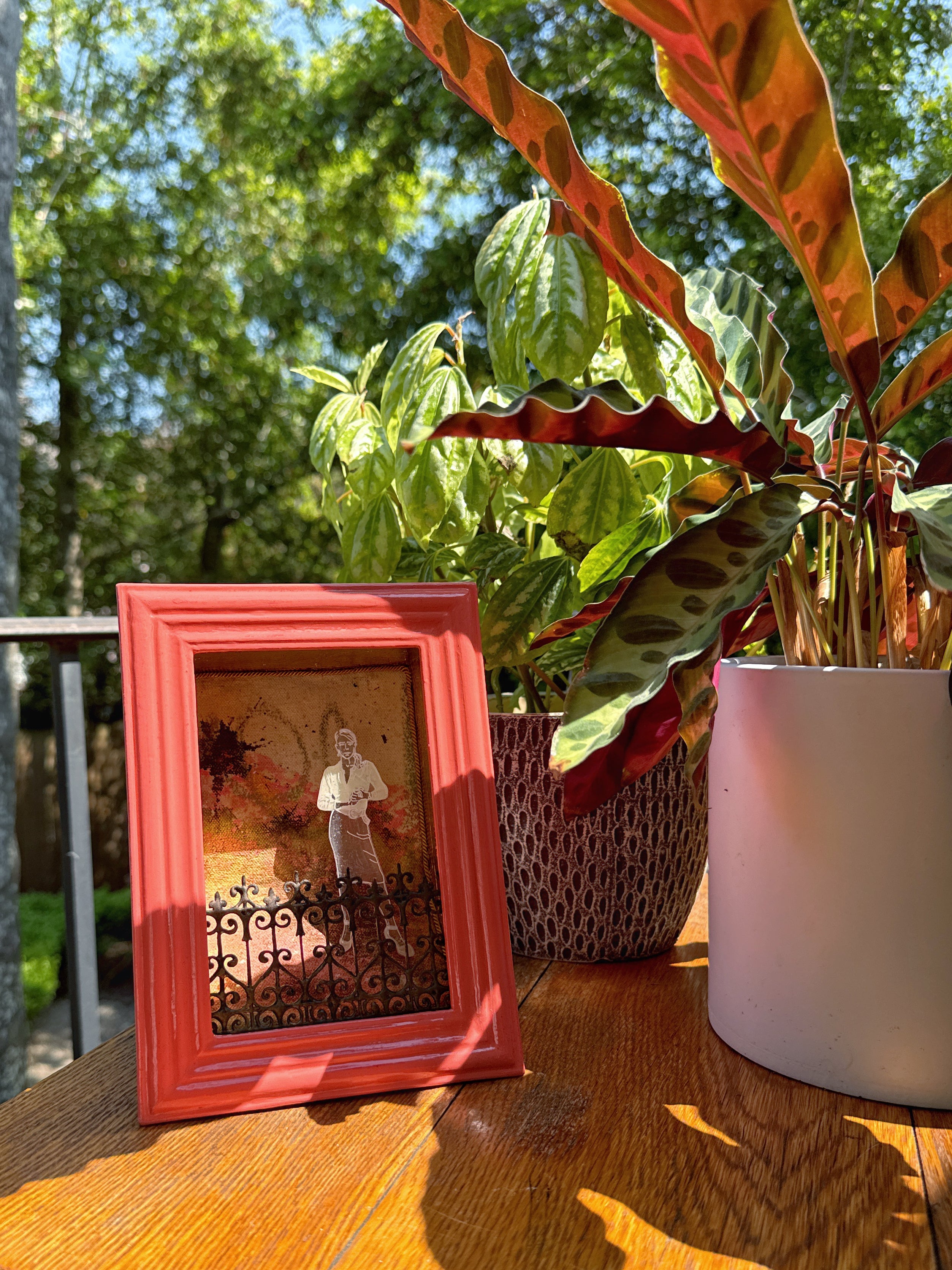 The Bell Jar 4